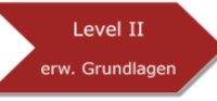 Level_II_200