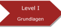 Level_I_200